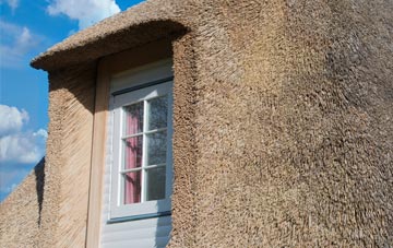Upper Cam thatch roof disadvantages